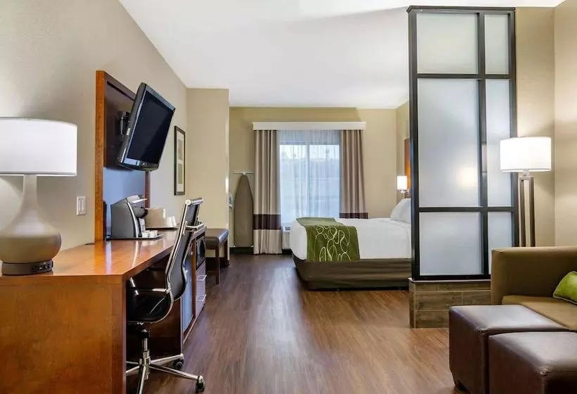 スイート, Comfort Suites Helena Airport
