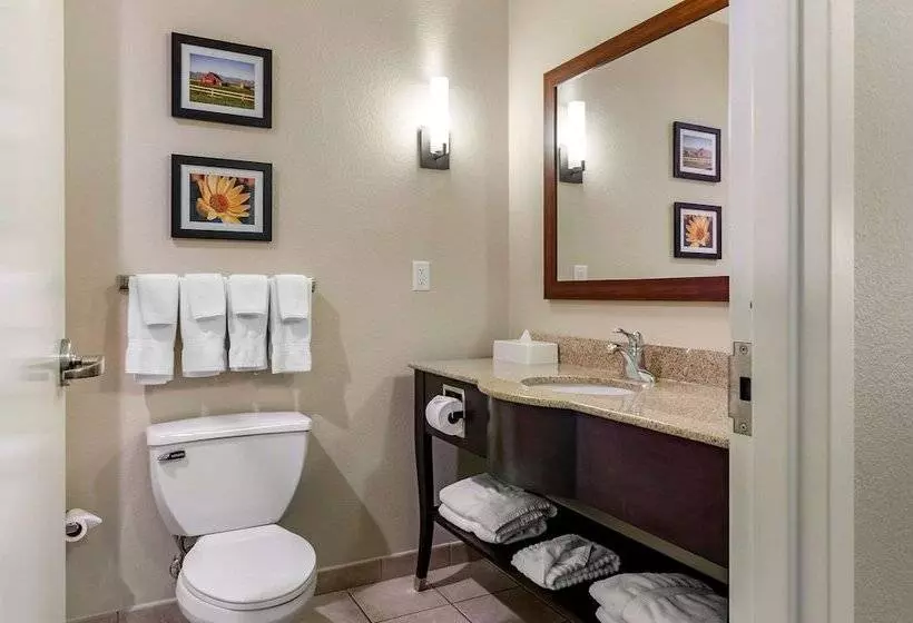スイート, Comfort Suites Helena Airport