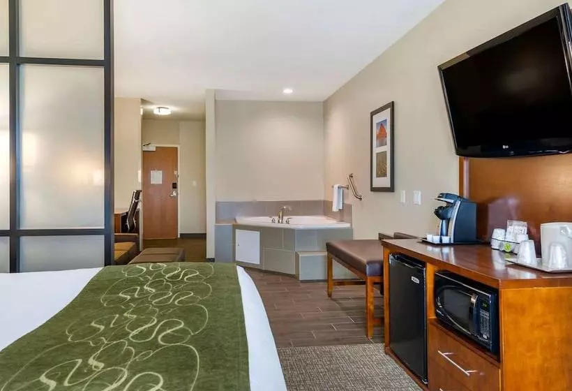ハイドロマッサージバス付きスイート, Comfort Suites Helena Airport