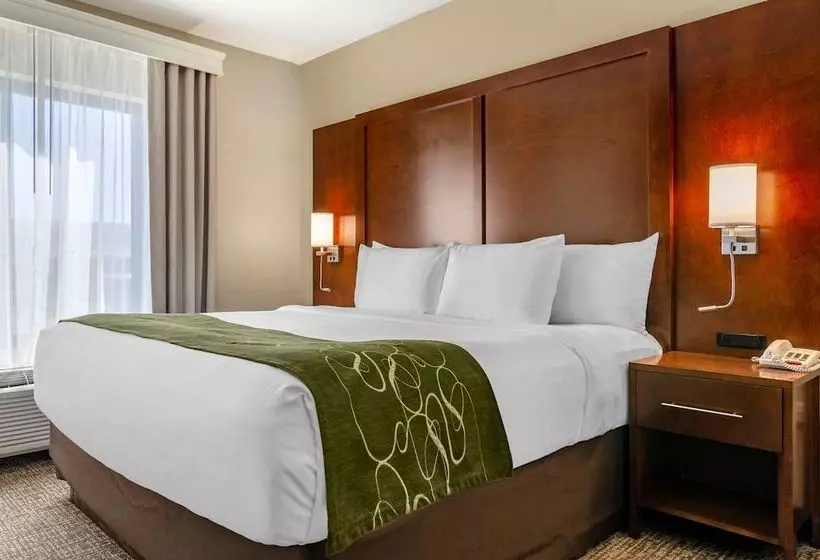 ハイドロマッサージバス付きスイート, Comfort Suites Helena Airport