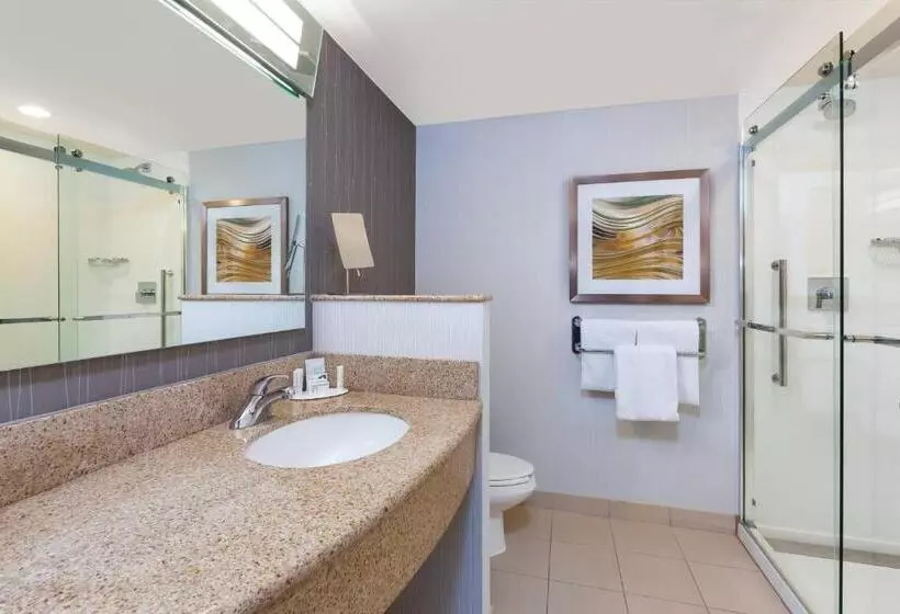 スタンダードルーム, Courtyard By Marriott Oklahoma City Downtown