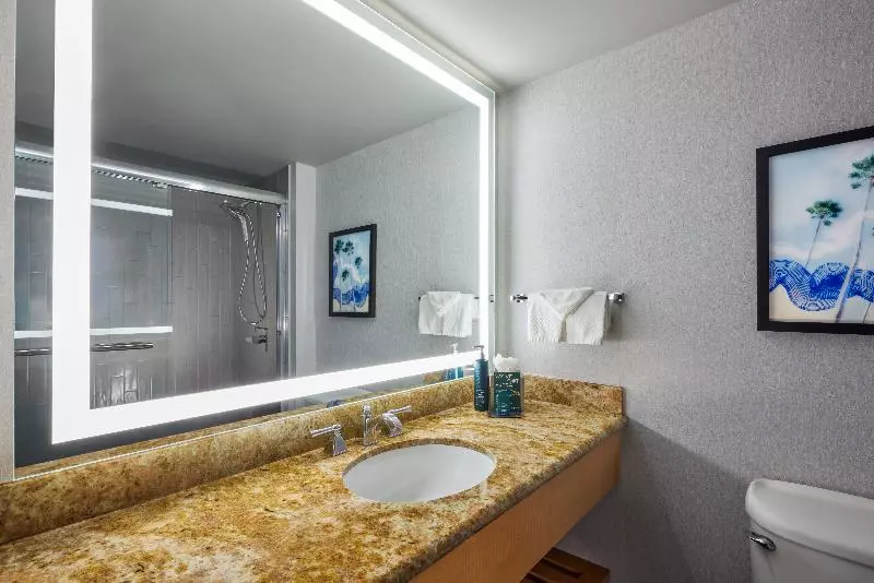 キングサイズベッドのスタンダードルーム, Fairfield Inn Harrisburg Hershey