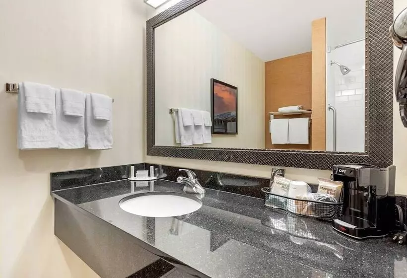 Juniorsviitti, Fairfield Inn & Suites By Marriott Rockford