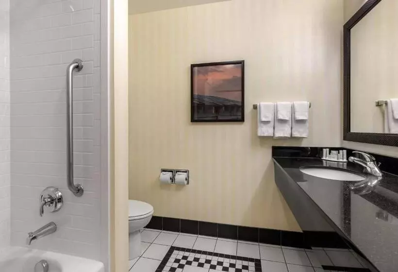 Juniorsviitti King-vuode, Fairfield Inn & Suites By Marriott Rockford