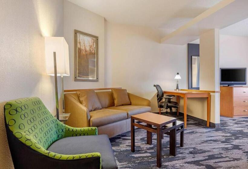 Junior Suite Łóżko King Size, Fairfield Inn & Suites By Marriott Rockford