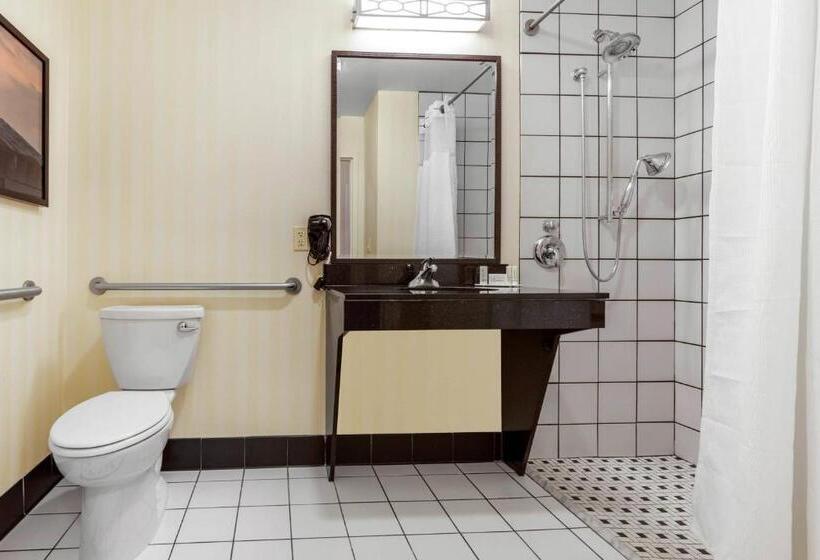 Номер Deluxe Адаптированный для Инвалидов, Fairfield Inn & Suites By Marriott Rockford