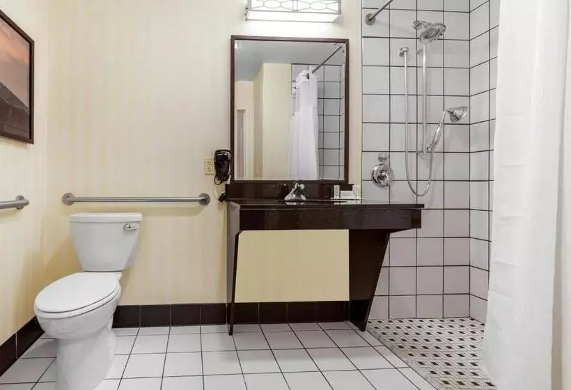 Deluxe-huone Soveltuu Liikuntarajoitteisille, Fairfield Inn & Suites By Marriott Rockford