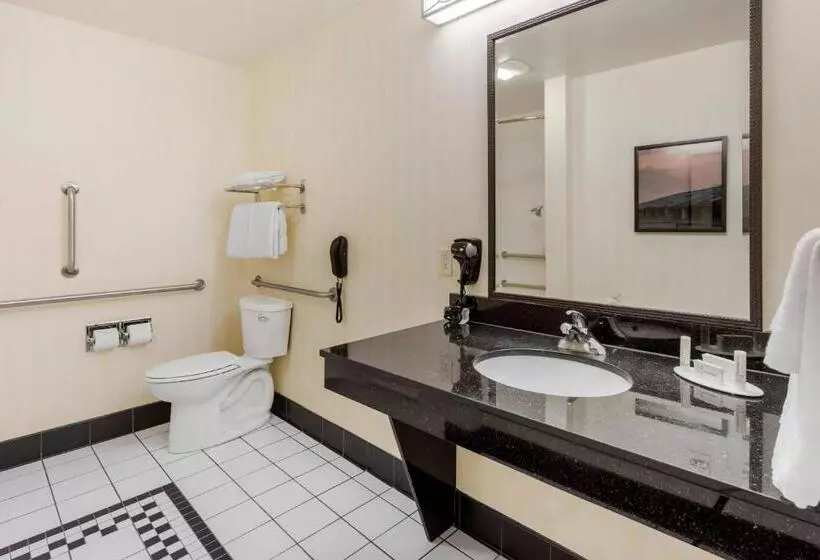 Deluxe-huone Soveltuu Liikuntarajoitteisille, Fairfield Inn & Suites By Marriott Rockford