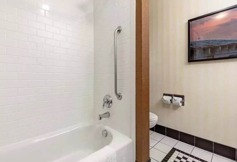 Deluxe-huone Soveltuu Liikuntarajoitteisille, Fairfield Inn & Suites By Marriott Rockford