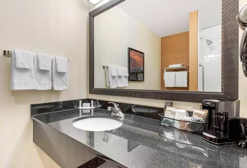 Deluxe-huone Soveltuu Liikuntarajoitteisille, Fairfield Inn & Suites By Marriott Rockford