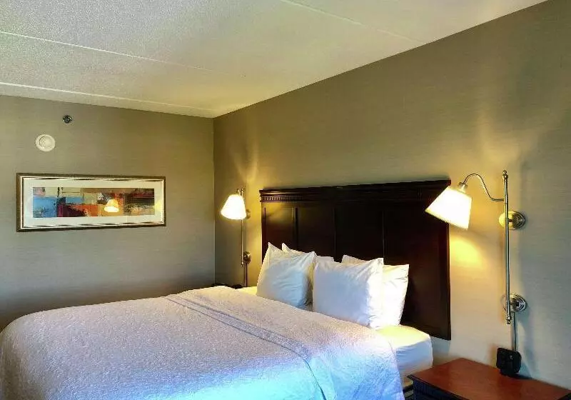 キングサイズベッドのスタンダードルーム, Hampton Inn Syracuse Clay