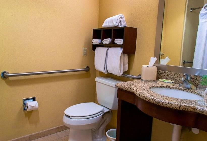 스탠다드 룸, Holiday Inn Express & Suites El Paso West By Ihg