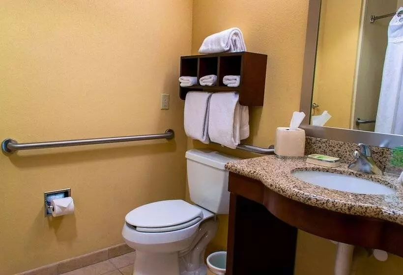 スタンダードルーム, Holiday Inn Express & Suites El Paso West By Ihg
