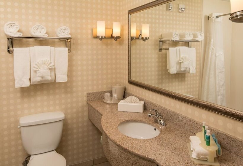 Люкс, Holiday Inn Express Hotel & Suites Greensboro   Airport Area, An Ihg