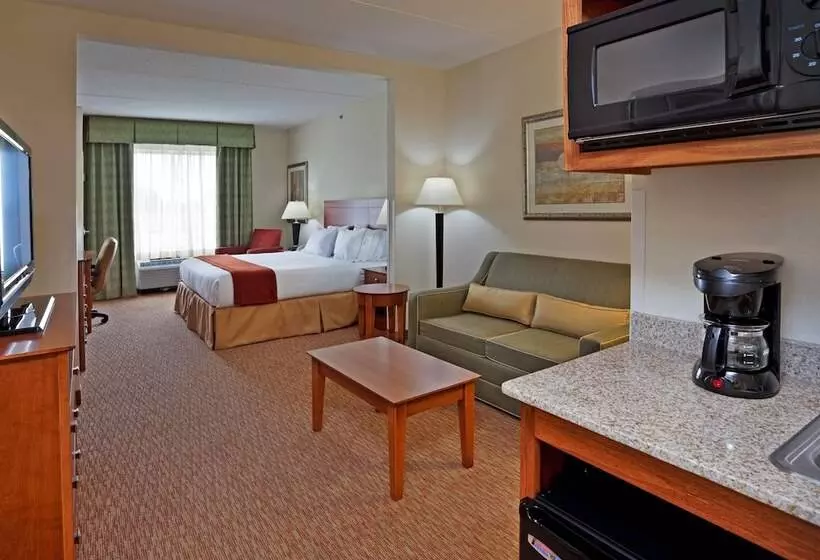 スイート, Holiday Inn Express Hotel & Suites Greensboro   Airport Area, An Ihg