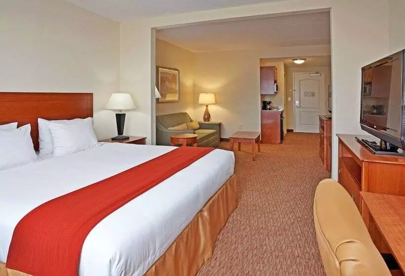 スイート, Holiday Inn Express Hotel & Suites Greensboro   Airport Area, An Ihg