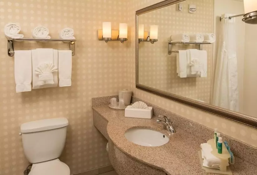 スタンダードルーム, Holiday Inn Express Hotel & Suites Greensboro   Airport Area, An Ihg
