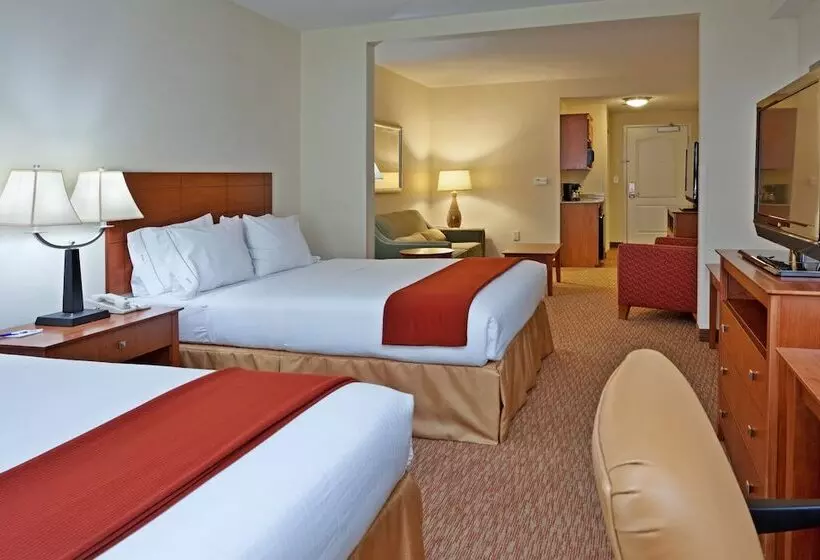 スイート, Holiday Inn Express Hotel & Suites Greensboro   Airport Area, An Ihg