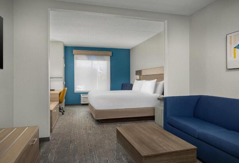 스위트 킹사이즈 침대, Holiday Inn Express Hotel & Suites Greensboro   Airport Area, An Ihg