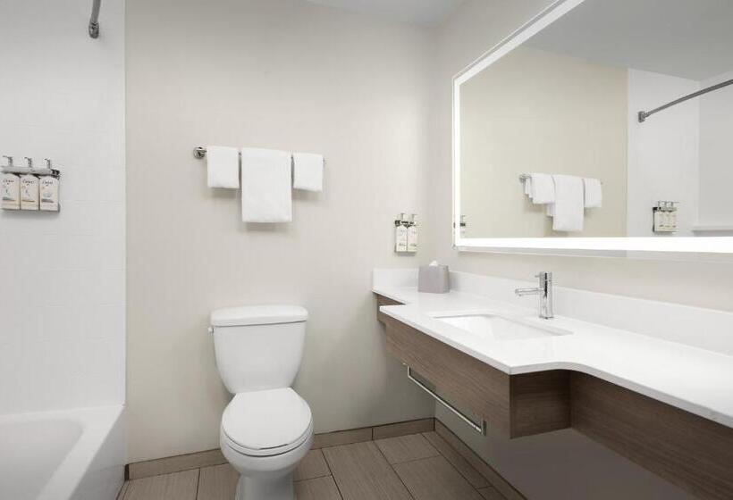 Люкс Кровать Кинг, Holiday Inn Express Hotel & Suites Greensboro   Airport Area, An Ihg