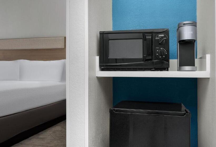 장애인을 위한 킹사이즈 침대 스탠다드 룸, Holiday Inn Express Hotel & Suites Greensboro   Airport Area, An Ihg