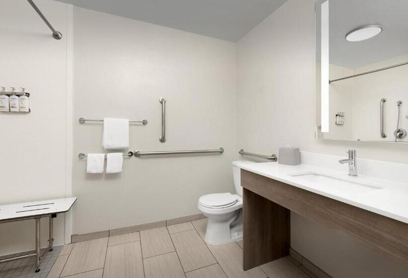 장애인을 위한 킹사이즈 침대 스탠다드 룸, Holiday Inn Express Hotel & Suites Greensboro   Airport Area, An Ihg