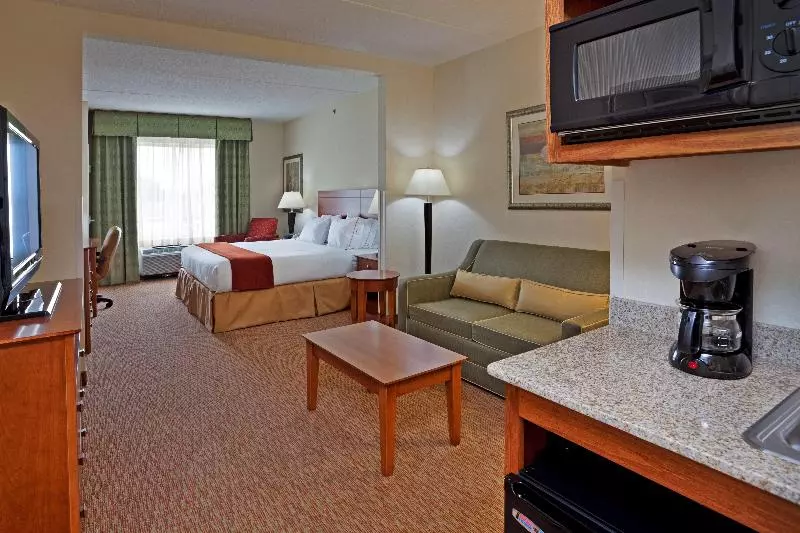 キングサイズベッドのスイートルーム, Holiday Inn Express Hotel & Suites Greensboro   Airport Area, An Ihg