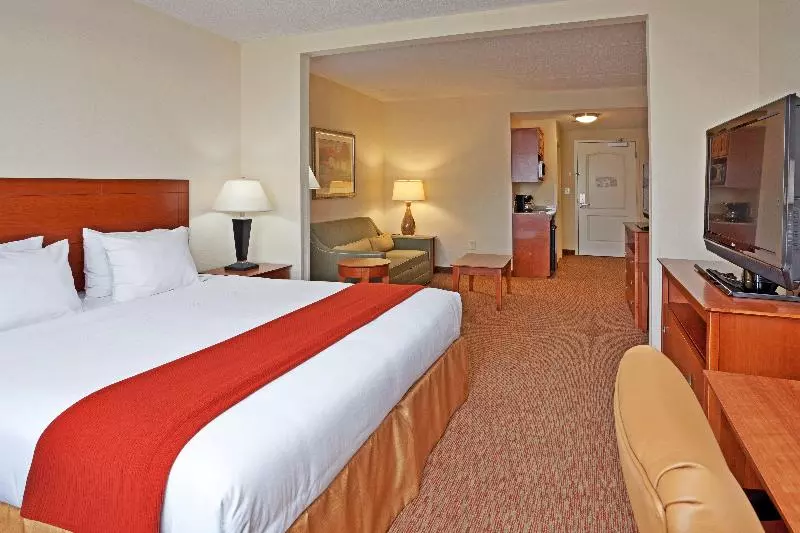 キングサイズベッドのスイートルーム, Holiday Inn Express Hotel & Suites Greensboro   Airport Area, An Ihg