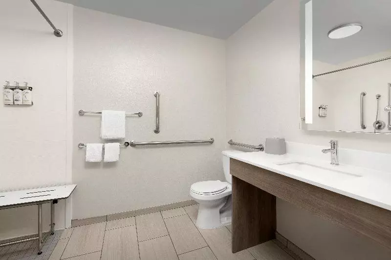 身障者適用キングサイズベッドルーム, Holiday Inn Express Hotel & Suites Greensboro   Airport Area, An Ihg