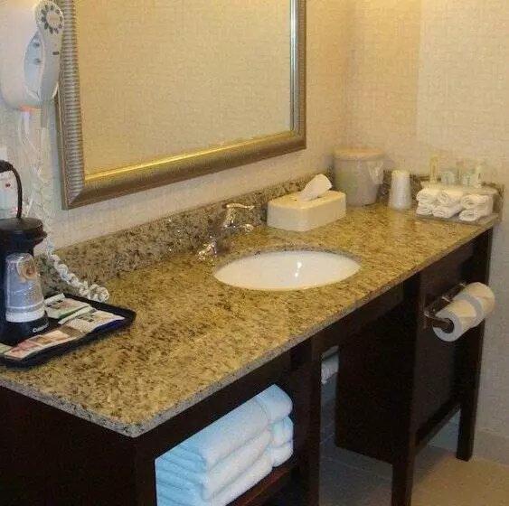 スタンダードルーム, Holiday Inn Express Hotel & Suites Jacksonville   Mayport / Beach, An Ihg