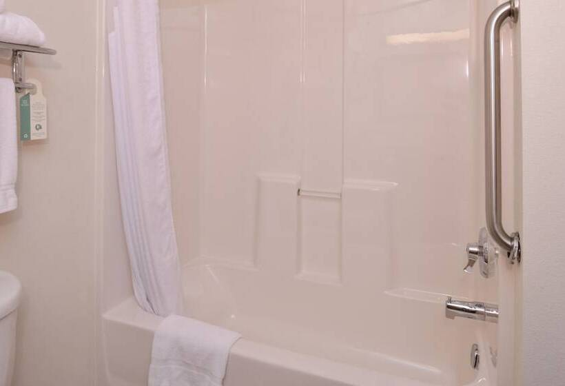 스위트, Holiday Inn Express Hotel & Suites Lancaster Lititz, An Ihg