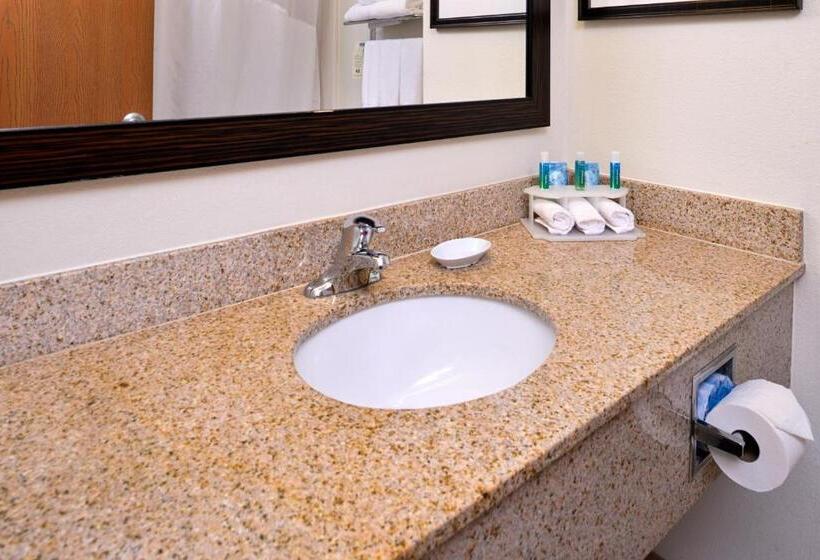 스탠다드 룸 킹사이즈 침대, Holiday Inn Express Hotel & Suites Lancaster Lititz, An Ihg