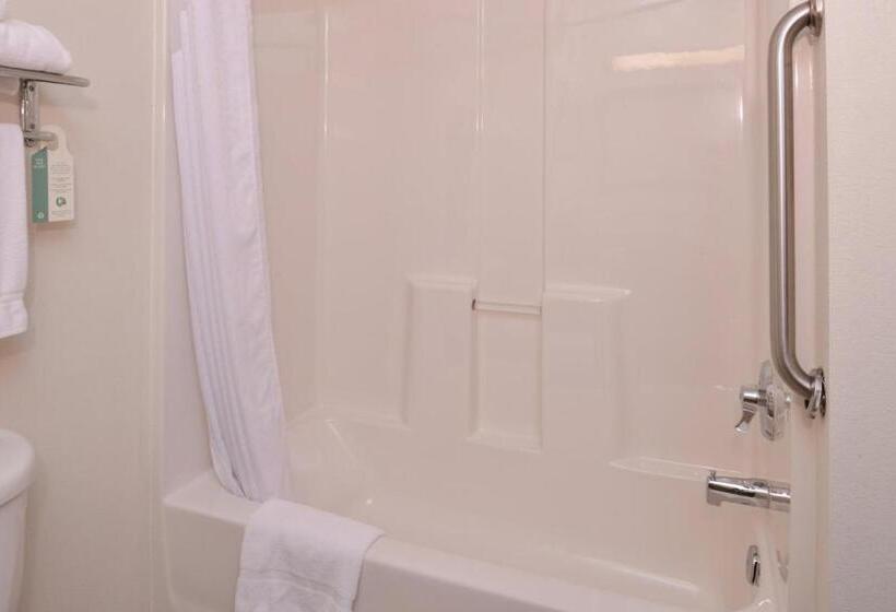 스탠다드 룸 킹사이즈 침대, Holiday Inn Express Hotel & Suites Lancaster Lititz, An Ihg