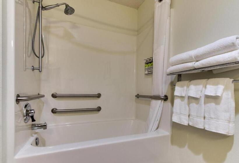 장애인을 위한 킹사이즈 침대 스탠다드 룸, Holiday Inn Express Hotel & Suites Lancaster Lititz, An Ihg