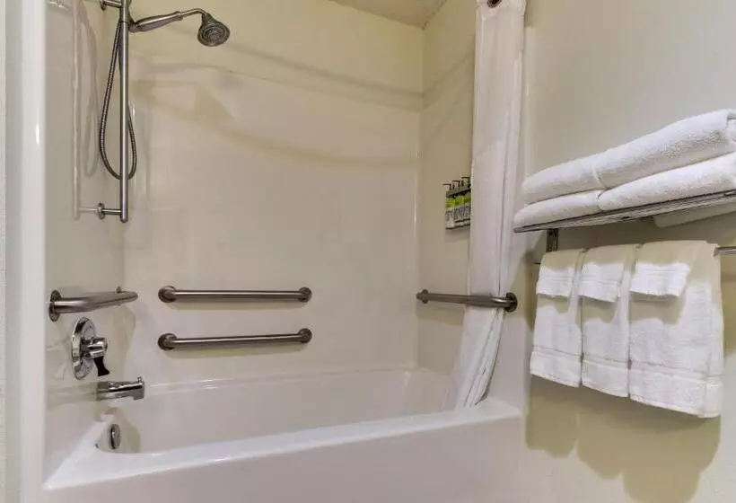 身障者適用キングサイズベッドルーム, Holiday Inn Express Hotel & Suites Lancaster Lititz, An Ihg