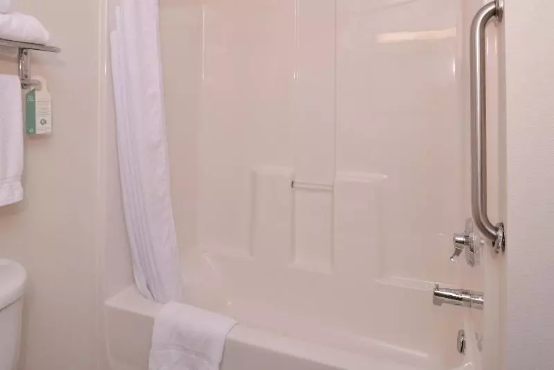身障者適用キングサイズベッドルーム, Holiday Inn Express Hotel & Suites Lancaster Lititz, An Ihg