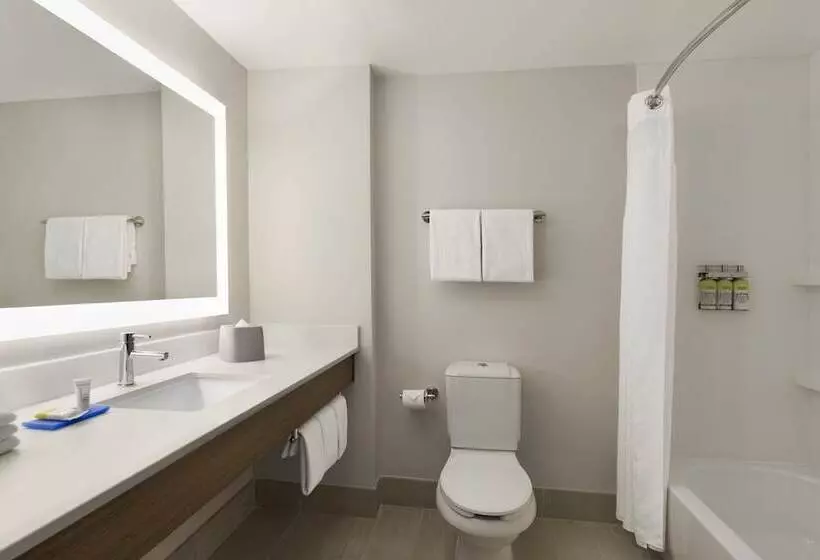 スタンダードルーム, Holiday Inn Express Hotel & Suites Mount Pleasant   Charleston, An Ihg