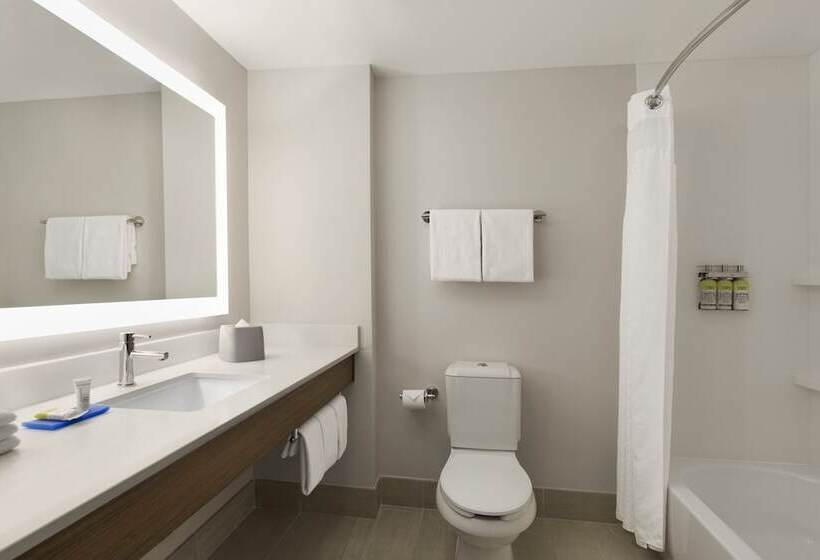 スイート, Holiday Inn Express Hotel & Suites Mount Pleasant   Charleston, An Ihg