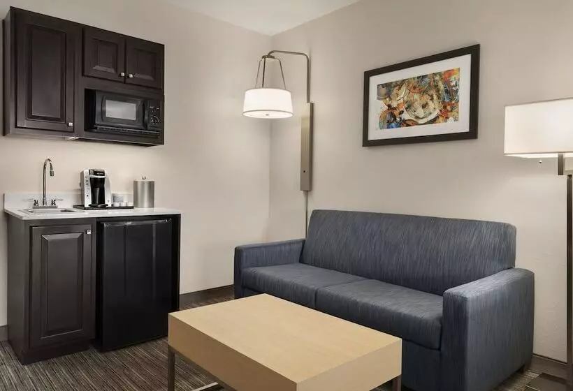 身障者適用スイートルーム, Holiday Inn Express Hotel & Suites Mount Pleasant   Charleston, An Ihg
