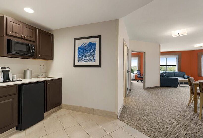 身障者適用スイートルーム, Holiday Inn Express Hotel & Suites Mount Pleasant   Charleston, An Ihg