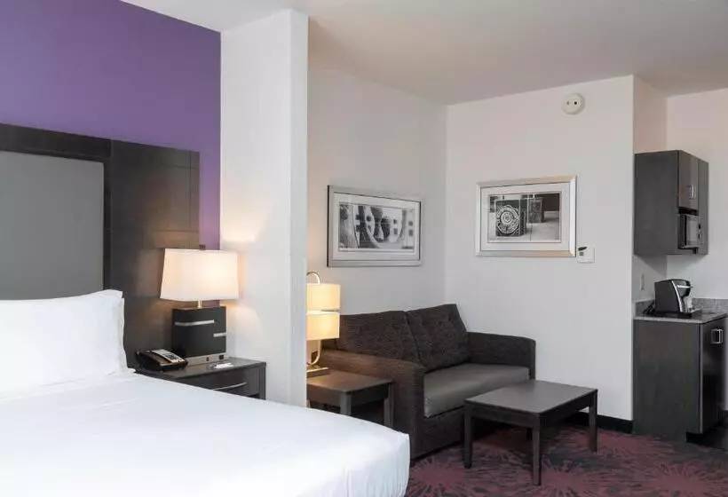 سوئیت اجرایی با تخت کینگ, Holiday Inn Express & Suites Columbus   Polaris Parkway / Columbus, An Ihg