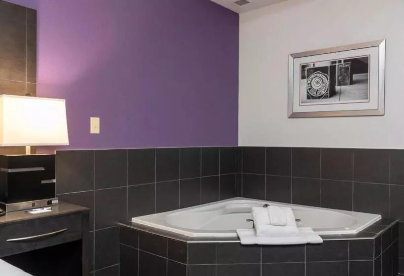 اتاق استاندارد با تخت بزرگ, Holiday Inn Express & Suites Columbus   Polaris Parkway / Columbus, An Ihg