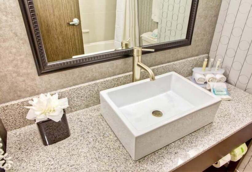 Номер Стандарт, Holiday Inn Express & Suites Columbus   Polaris Parkway / Columbus, An Ihg
