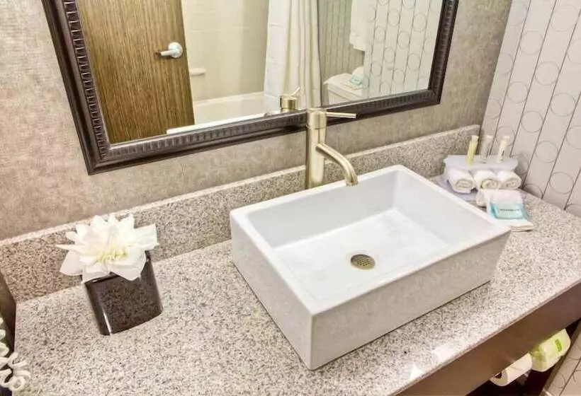 اتاق استاندارد, Holiday Inn Express & Suites Columbus   Polaris Parkway / Columbus, An Ihg