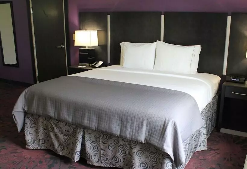 اتاق استاندارد, Holiday Inn Express & Suites Columbus   Polaris Parkway / Columbus, An Ihg