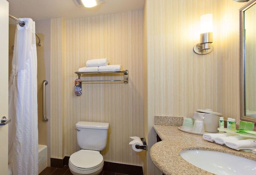 סוויטה מותאמת לאדם עם מוגבלויות, Holiday Inn Express & Suites Midland Loop 250, An Ihg
