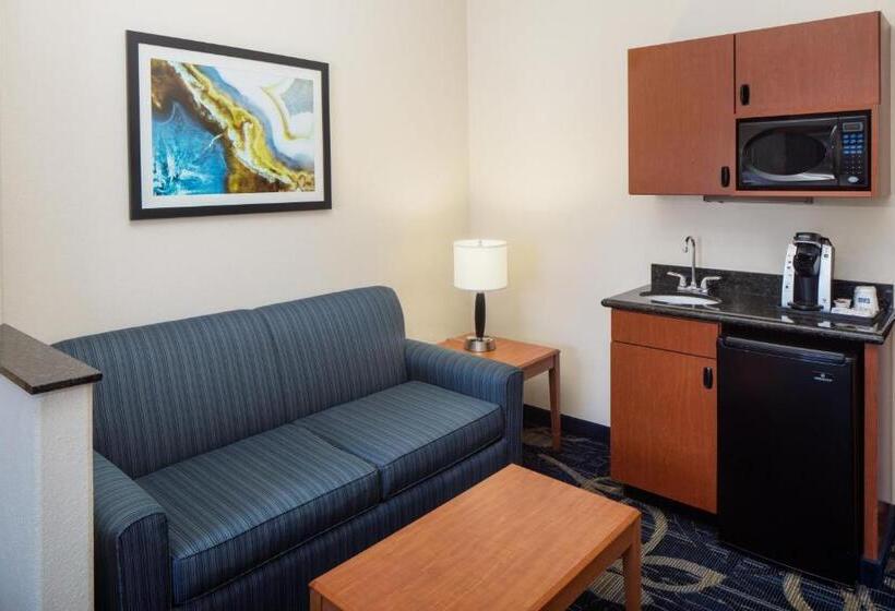 מיטת קינג בסוויטה, Holiday Inn Express & Suites Midland Loop 250, An Ihg
