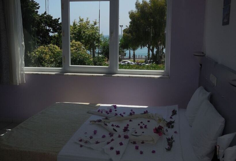 غرفة قياسية, Resitalya