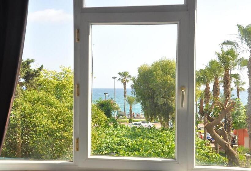 غرفة قياسية, Resitalya