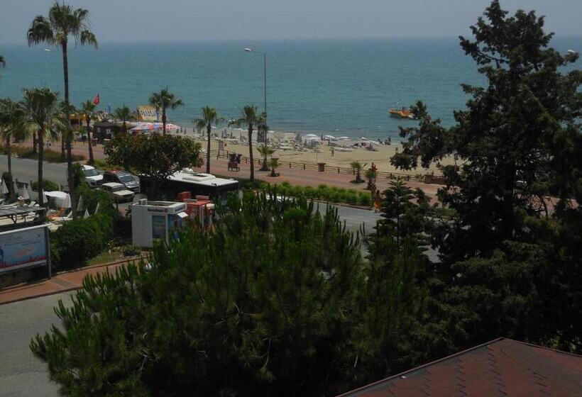 غرفة قياسية رباعية, Resitalya